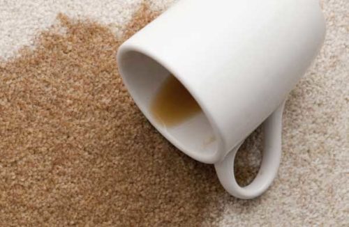 Kaffeeflecken aus Teppich entfernen (3 beste Methoden)
