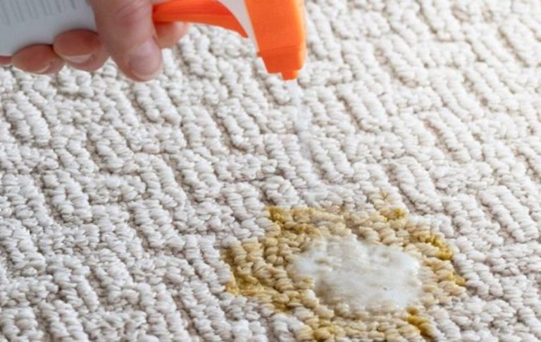 Erbrochenes Aus Teppich Entfernen Hausmittel