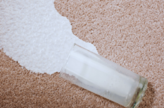 milch-aus-teppich-entfernen