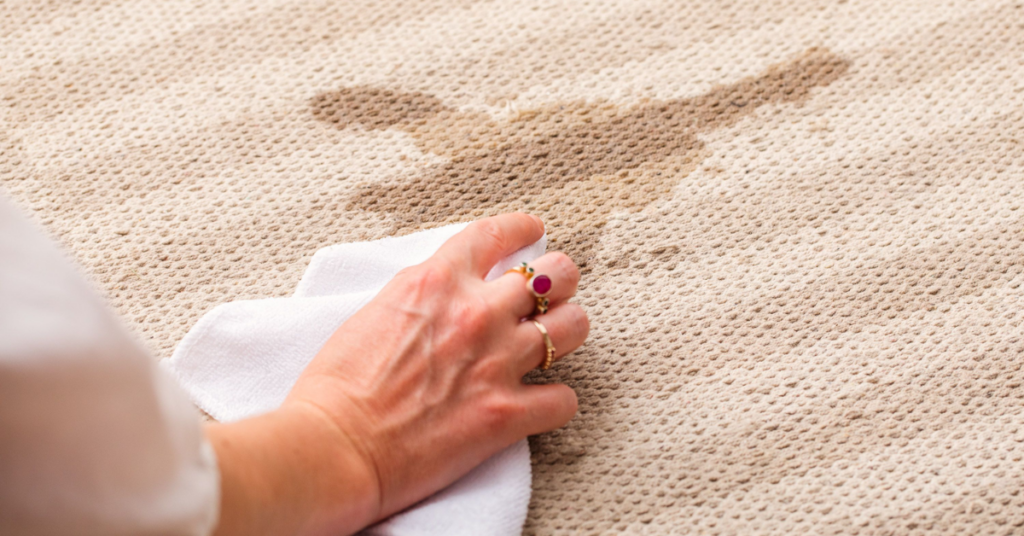 Flecken aus Teppich entfernen Effektive Methoden + Empfehlungen [2025]