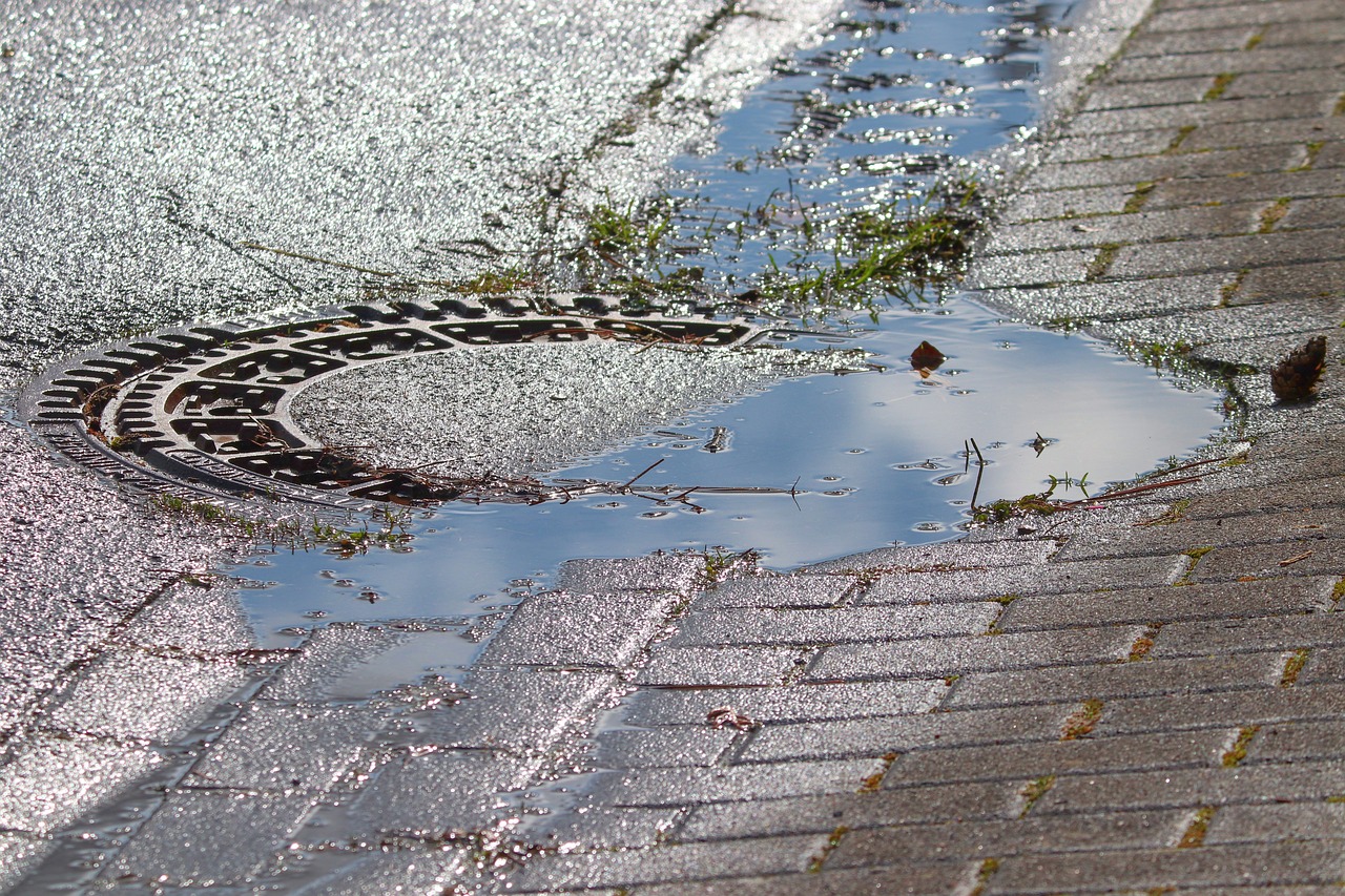 drain, manhole cover, round, puddle of water, metal, lid, puddle, cast iron, paving stones, road, stones, structure, channel, texture, cover, wet, water, rainwater, sequence, gutter, nature, rain gutter, street gutter, reflect